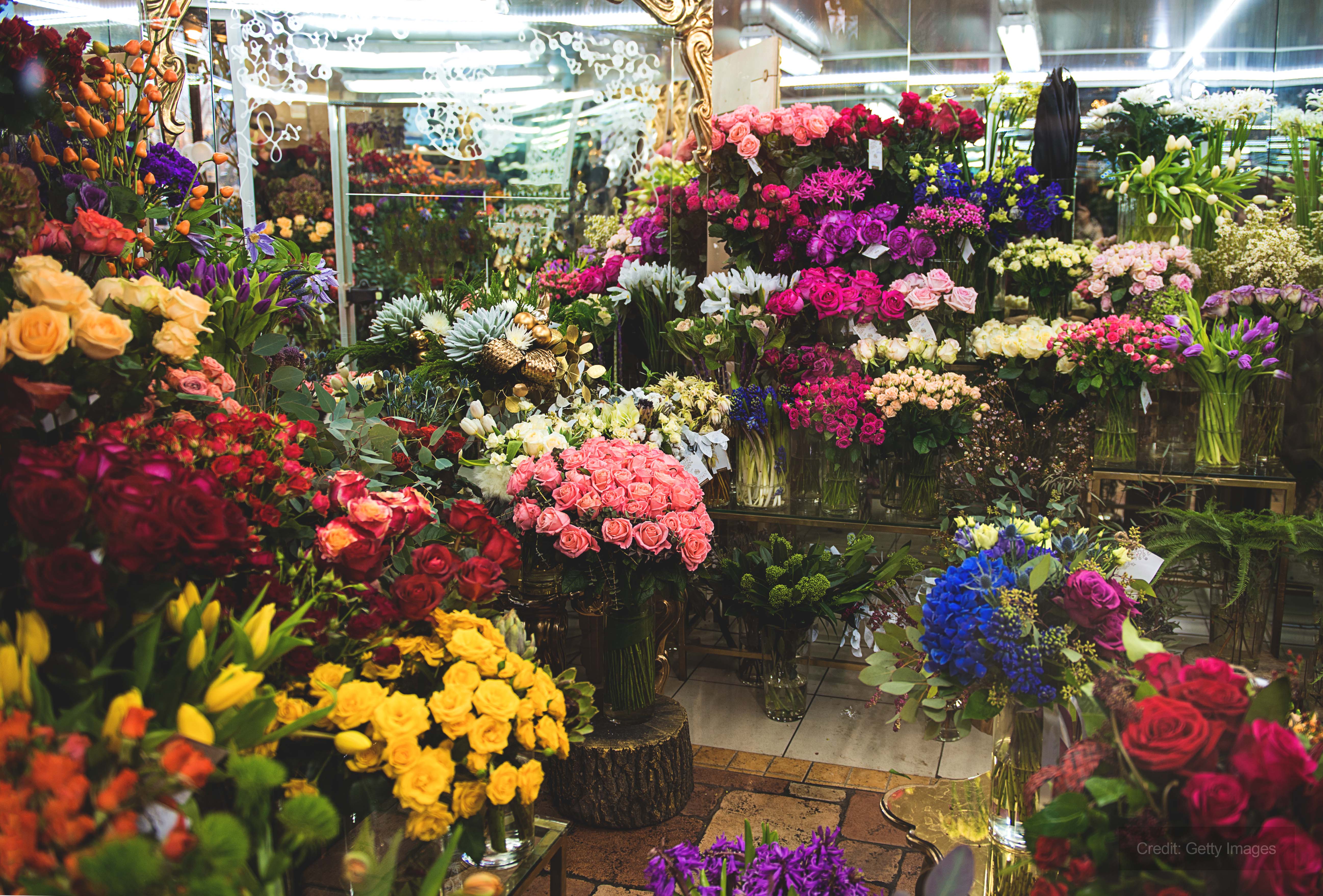 Florist East Anglian horticulturalist seeks drying equipment