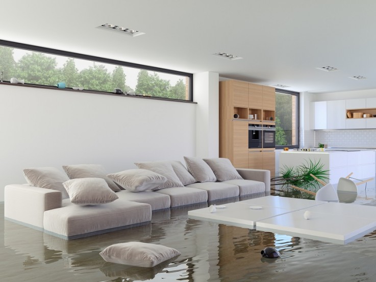 More than 50% of homeowners have suffered water damage, study reveals