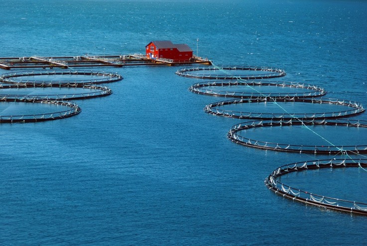 Pump hire helps salmon manufacturers maintain output