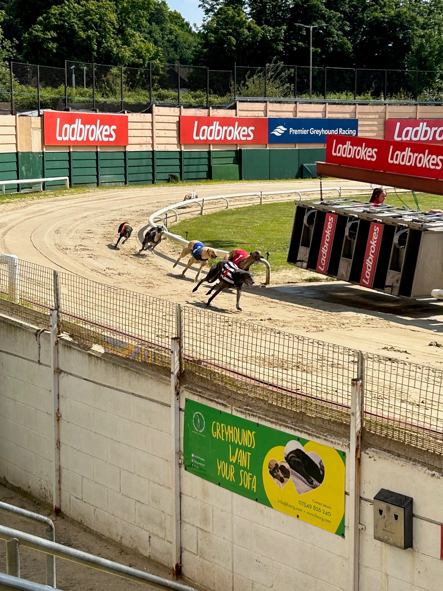 Track record! Swift AC delivery keeps patrons cool at greyhound stadium