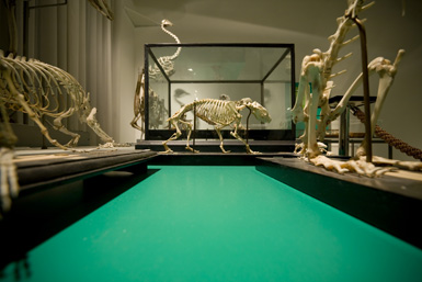 Dehumidification Solution for Art Galleries & Museums โ- Creating Desired Conditions