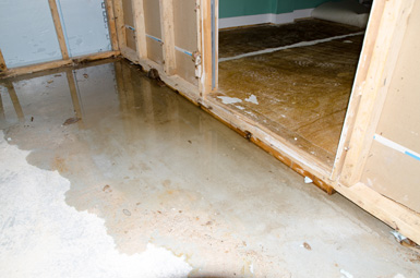 Dehumidification Solution for Water Damage