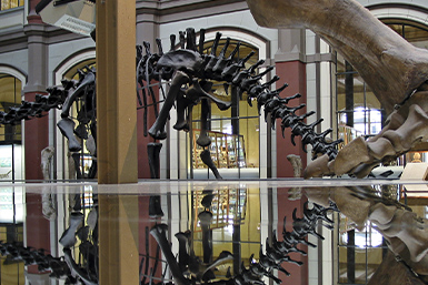 Humidification Solution for Museums & Art Galleries