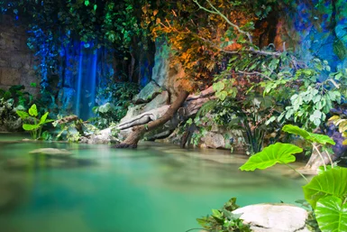 Pumping Solutions for Film Production and Events - Special Effects