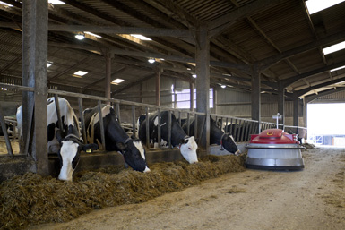Ventilation Solutions for Agriculture & Farms